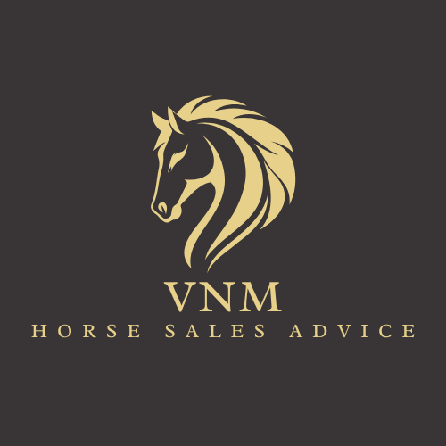 VNM Horse Sales Advice