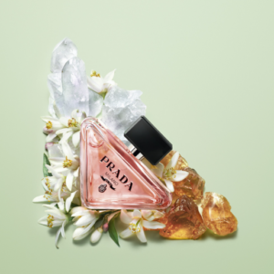 Prada Paradox - Eau de Parfum